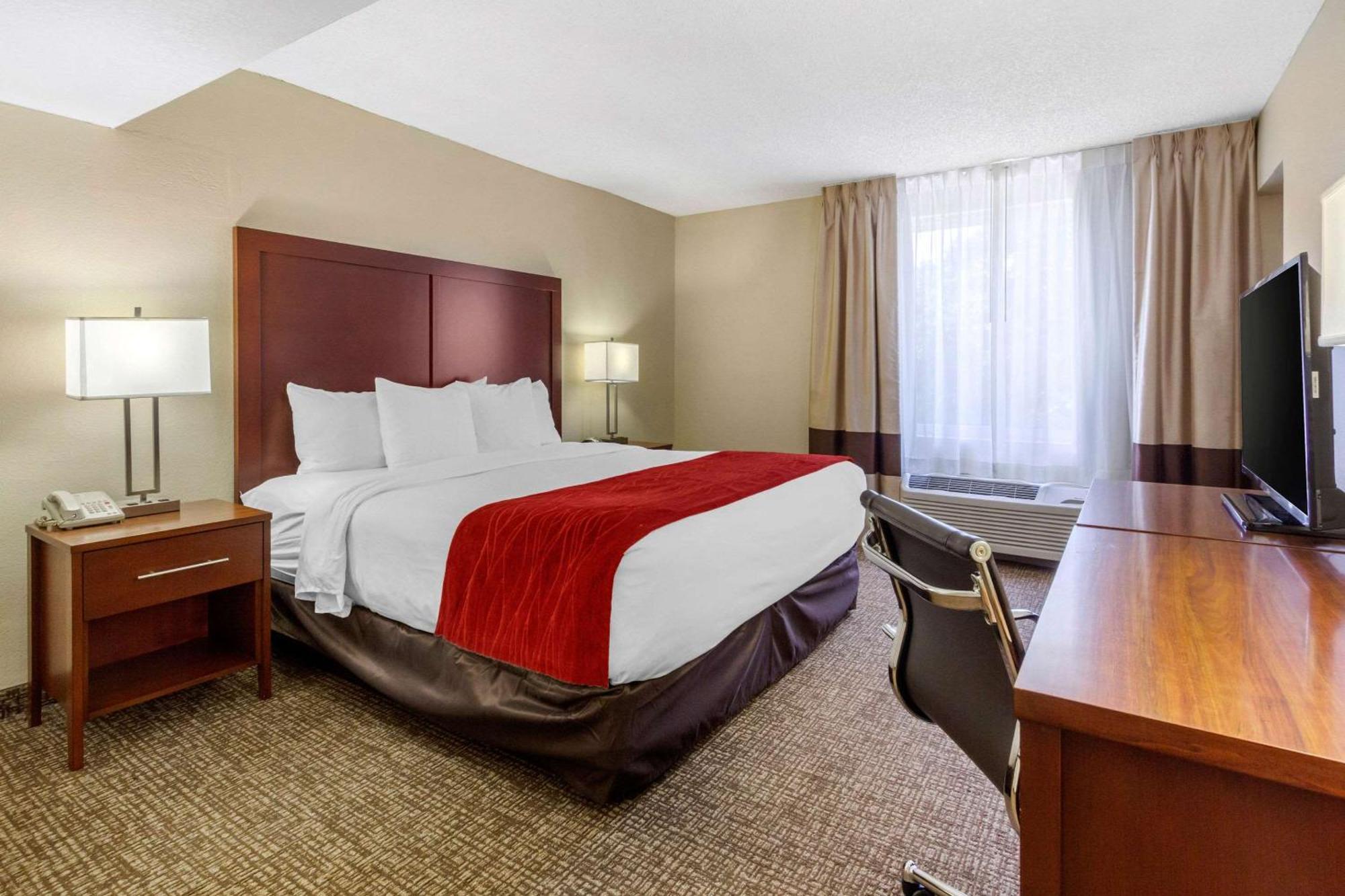 Comfort Inn St Petersburg North Exterior photo