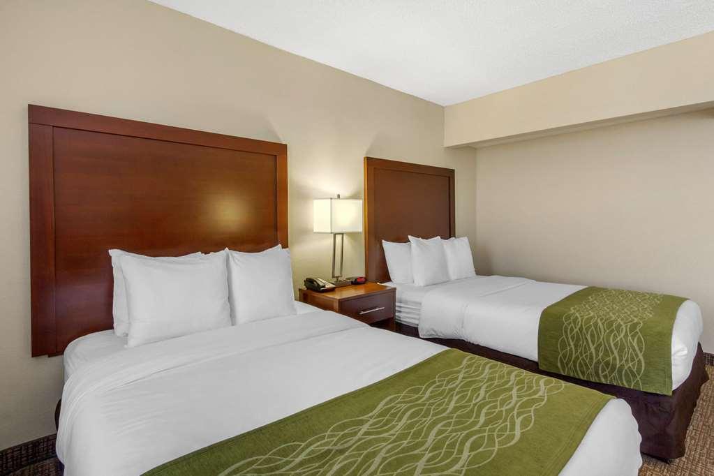 Comfort Inn St Petersburg North Room photo