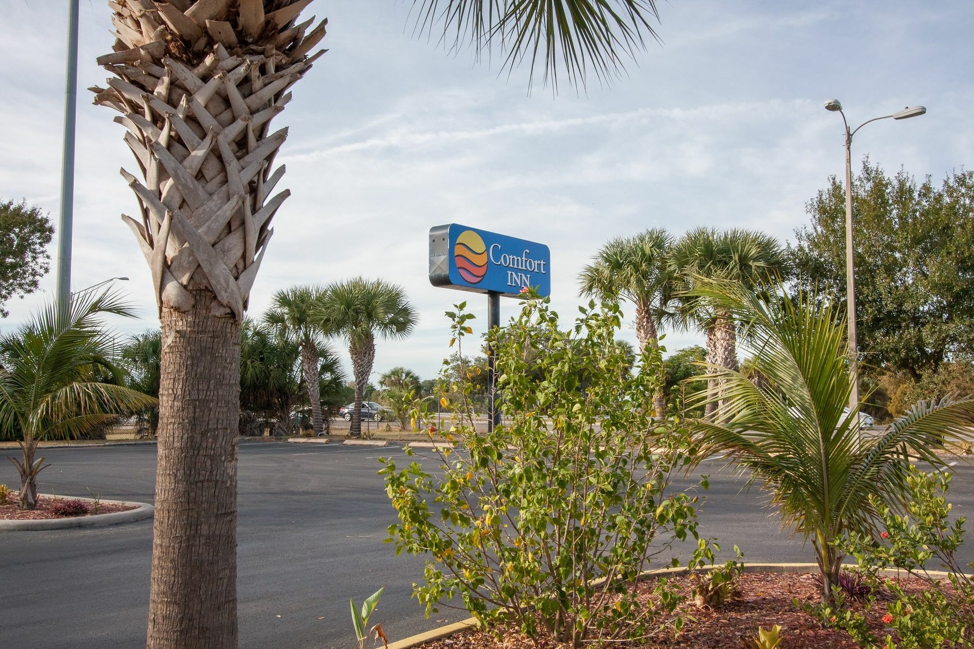 Comfort Inn St Petersburg North Exterior photo
